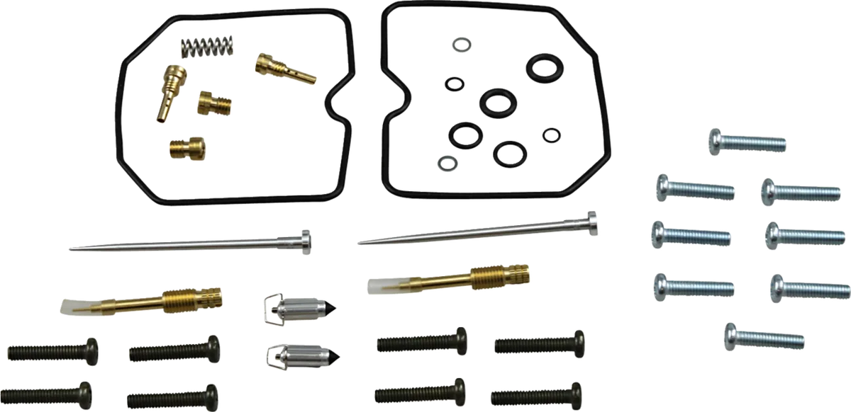 Carburetor Repair Kit