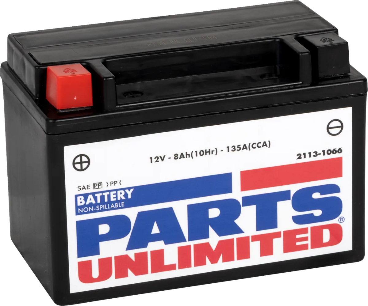 Factory-Activated AGM Maintenance-Free Battery