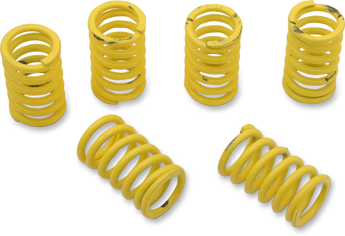 Clutch Spring Kit