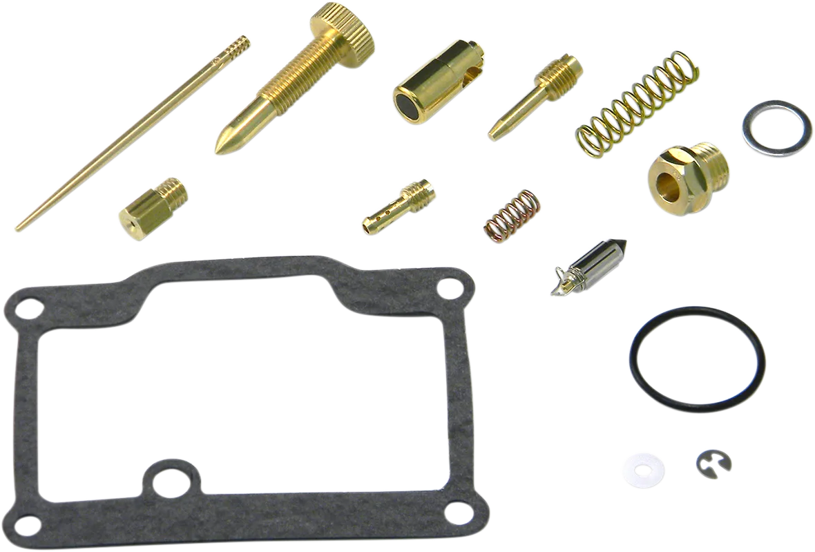 Carburetor Repair Kit
