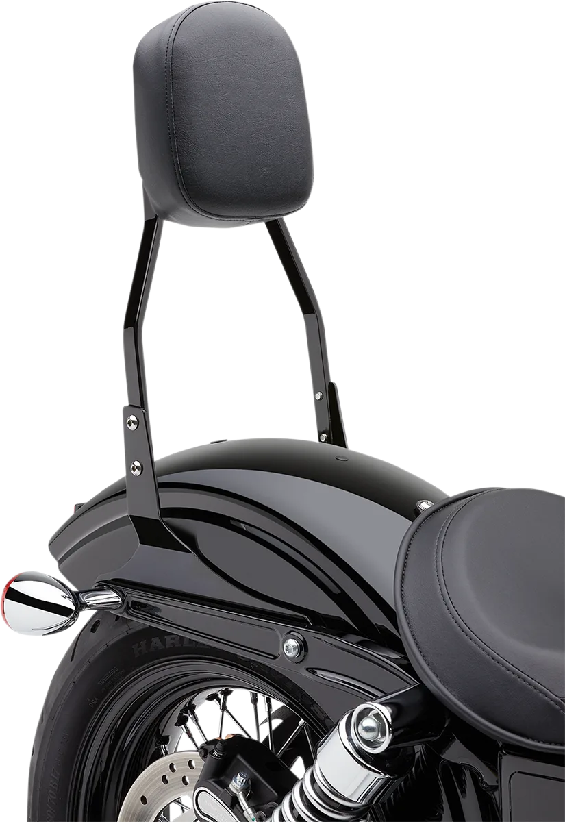 Square Sissy Bar