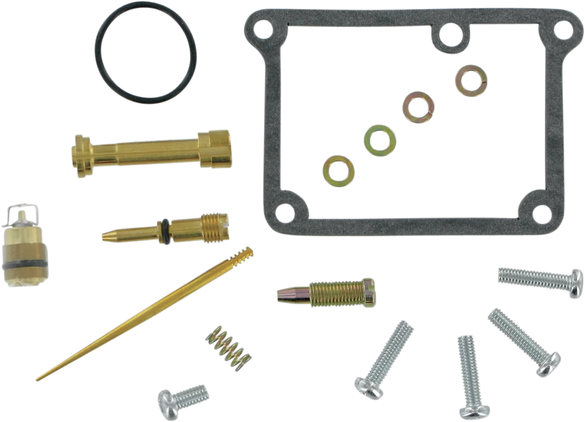 Carburetor Repair Kit