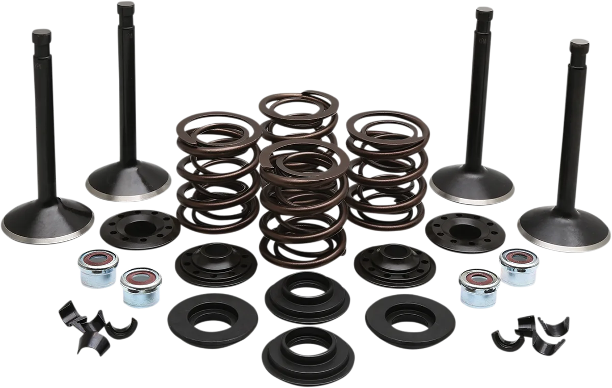Engine Valve Kit