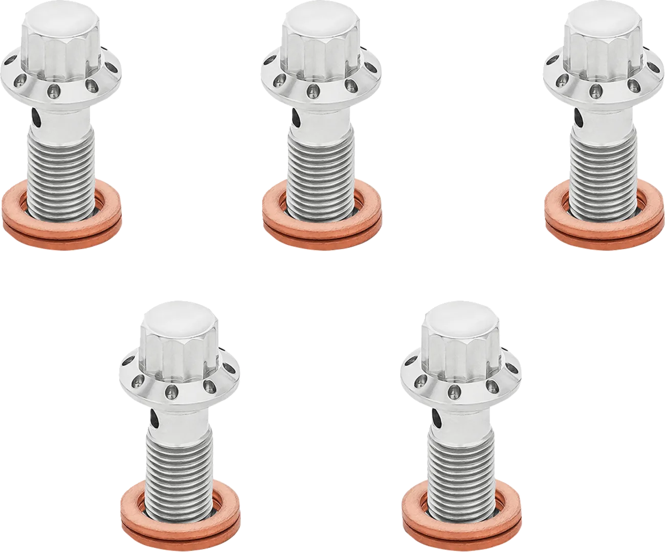 12-Point Titanium Banjo Bolts