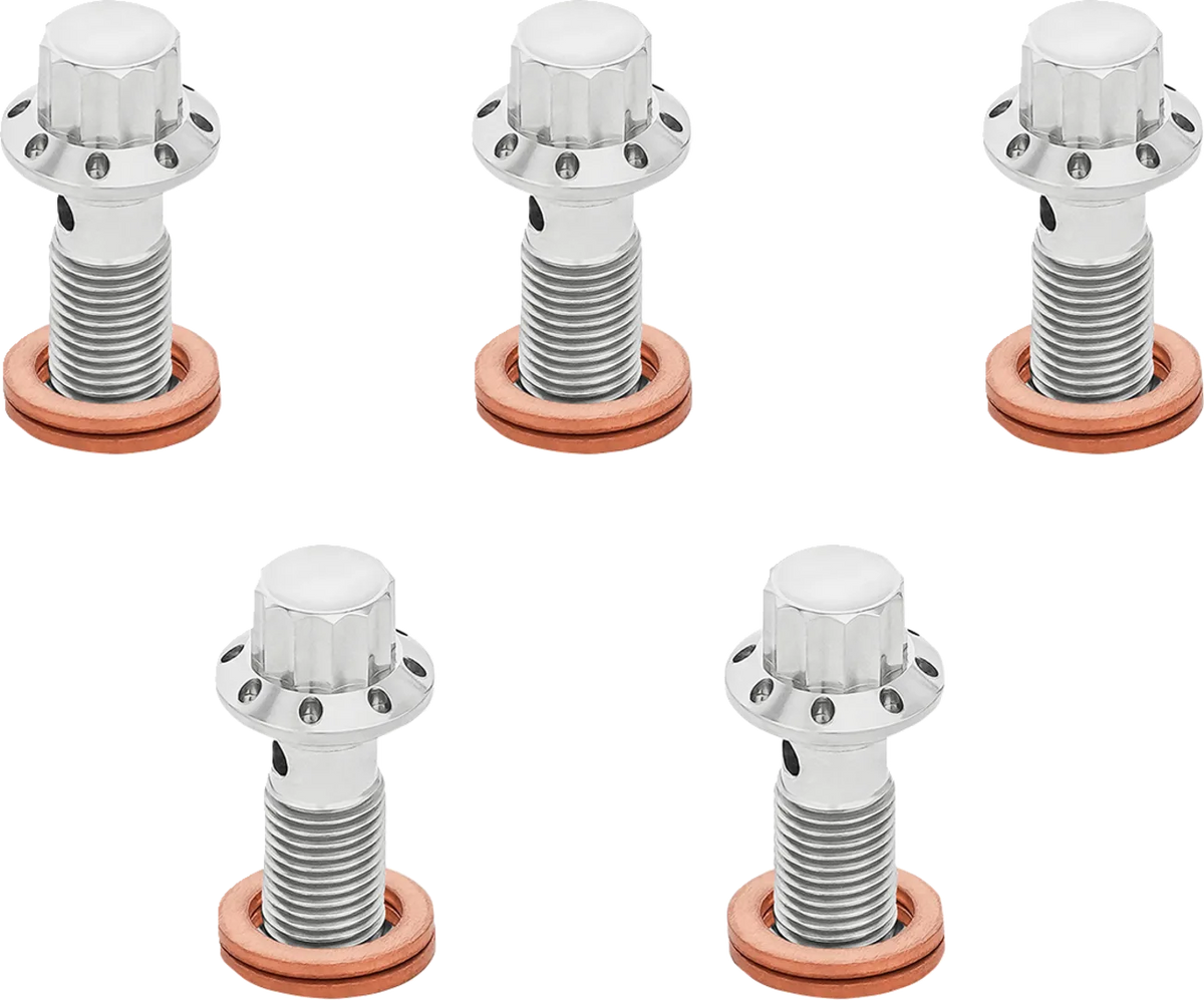 12-Point Titanium Banjo Bolts