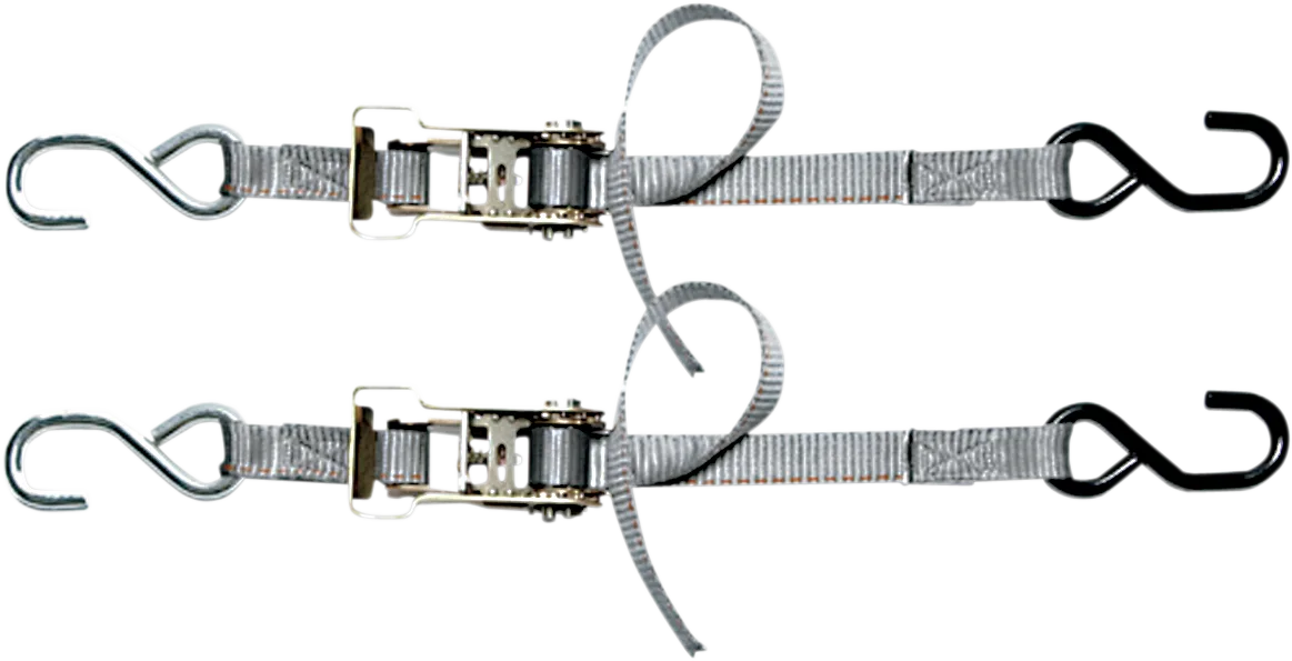 Cinchtite 2 Tie-Down Strap