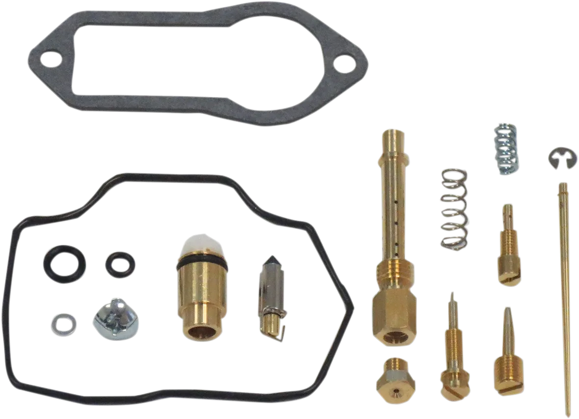 Carburetor Repair Kit