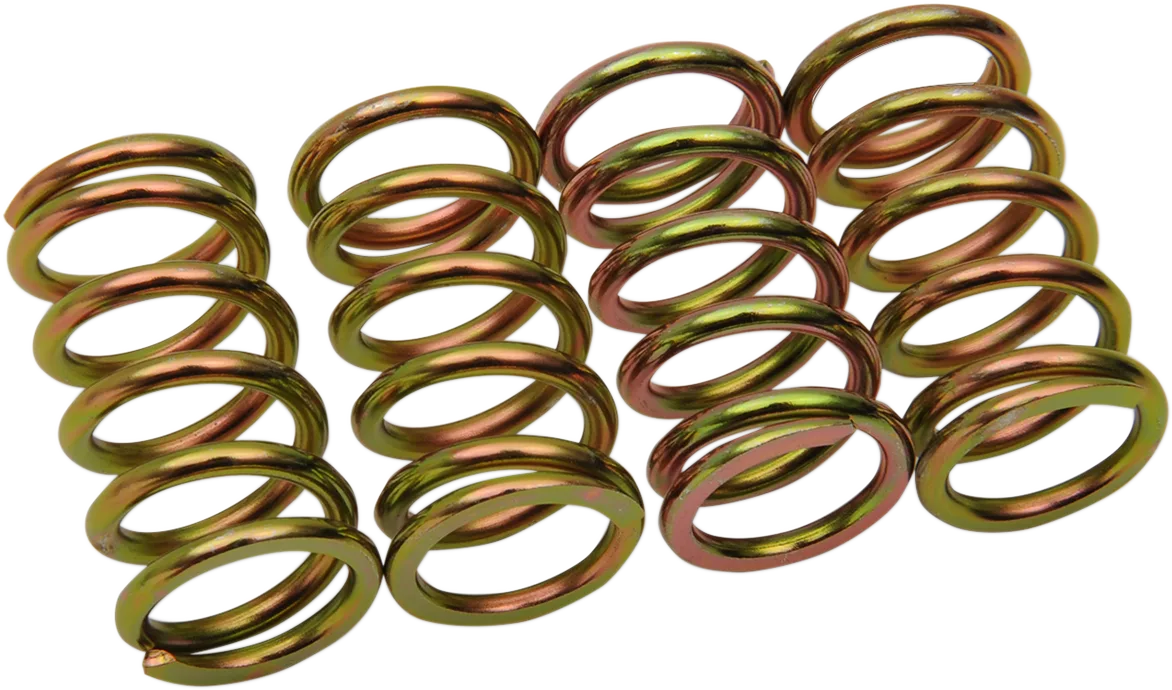 Clutch Spring Kit