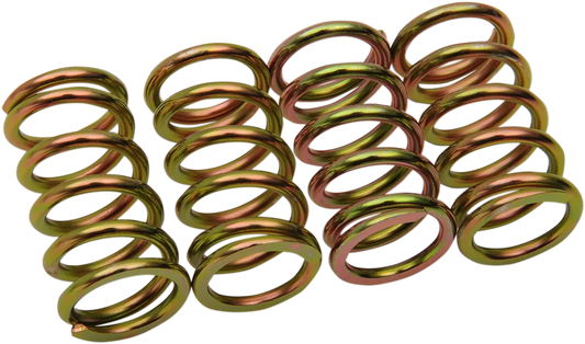 Clutch Spring Kit