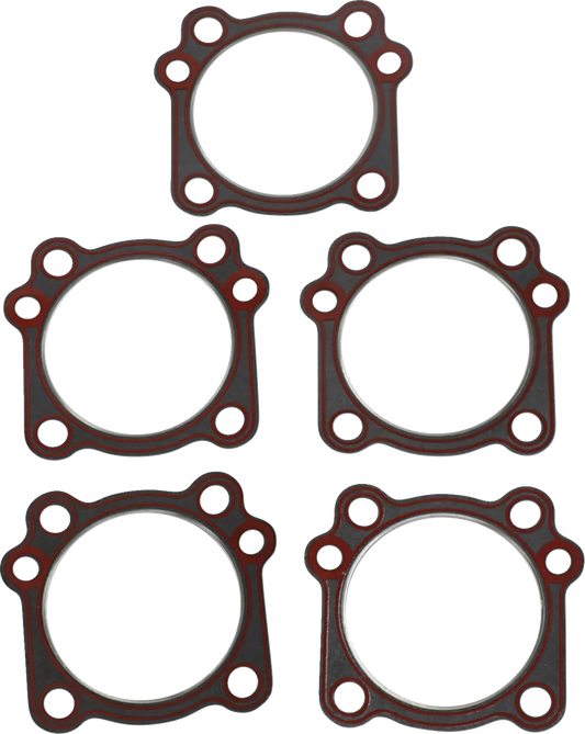 Replacement Cylinder Head and Compliance Fitting Gaskets