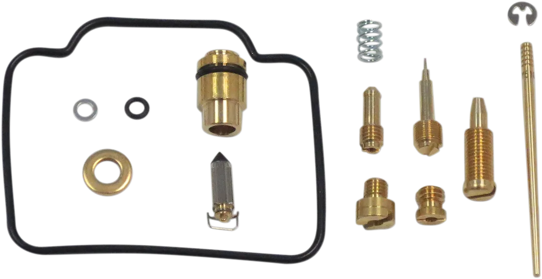 Carburetor Repair Kit
