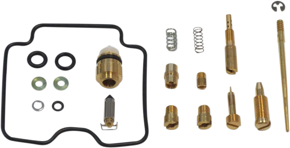 Carburetor Repair Kit