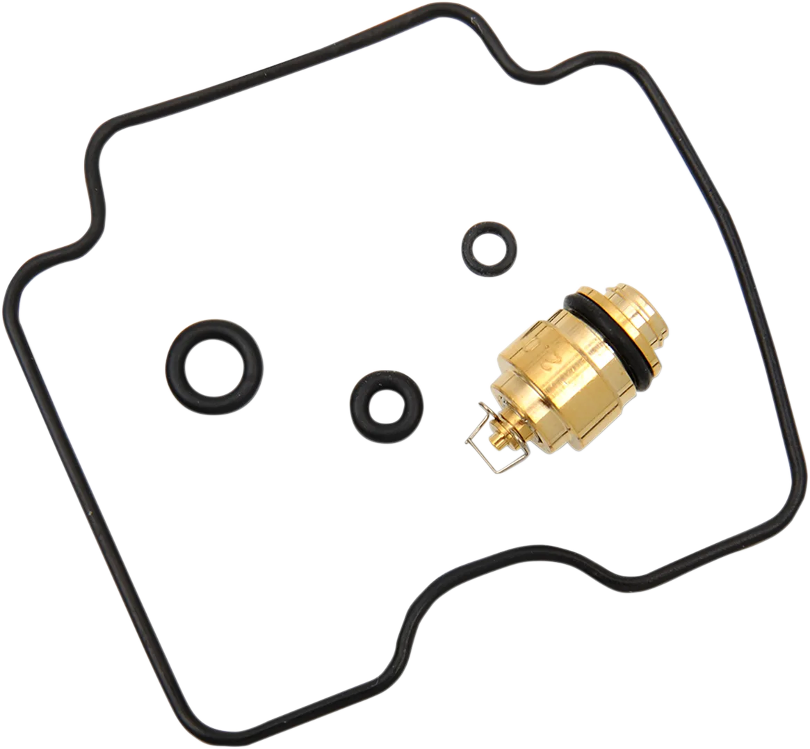 Carburetor Repair Kit