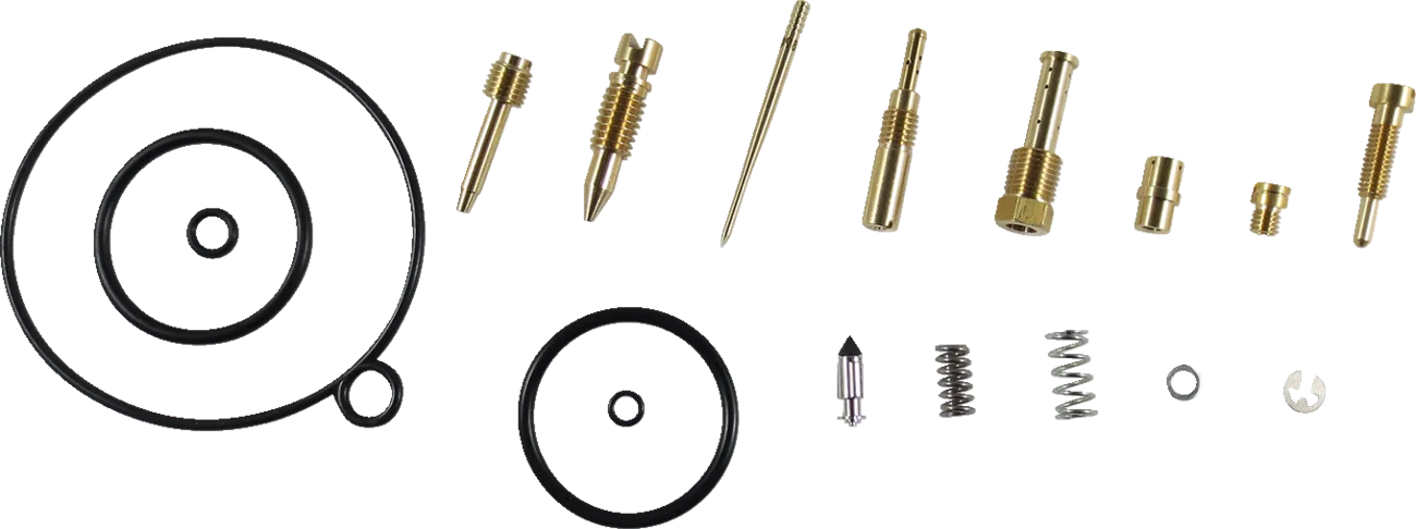 Carburetor Repair Kit