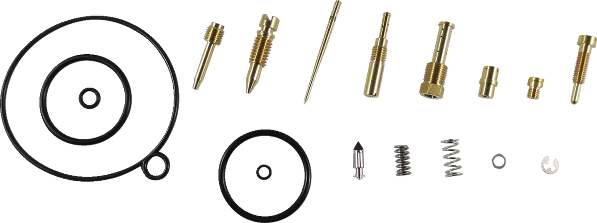 Carburetor Repair Kit