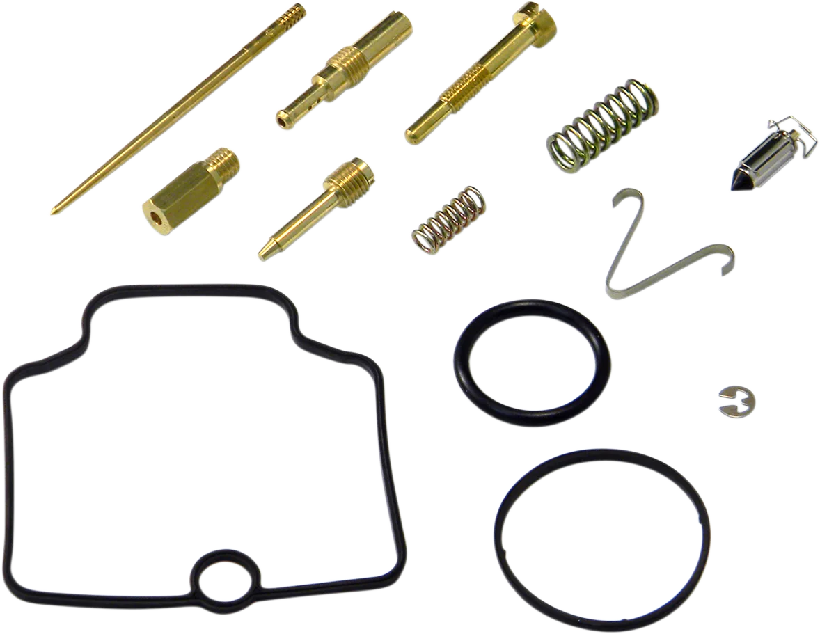 Carburetor Repair Kit
