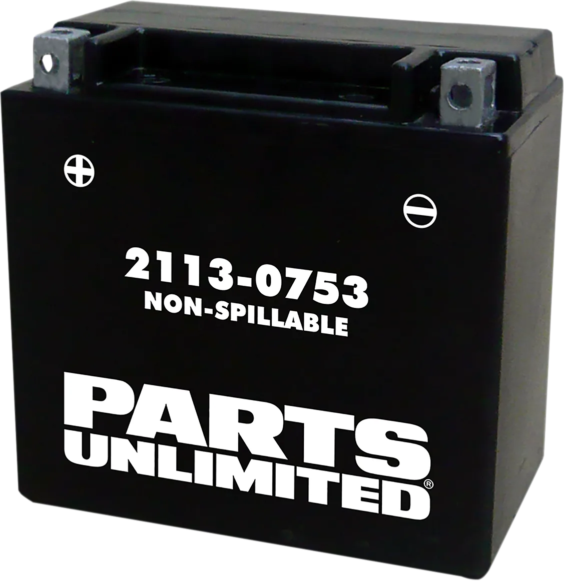 AGM Maintenance-Free Battery