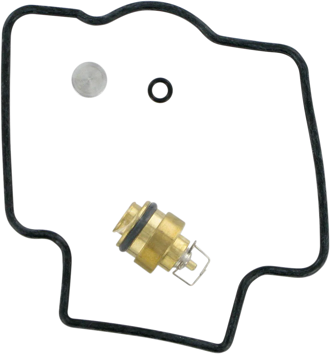 Carburetor Repair Kit