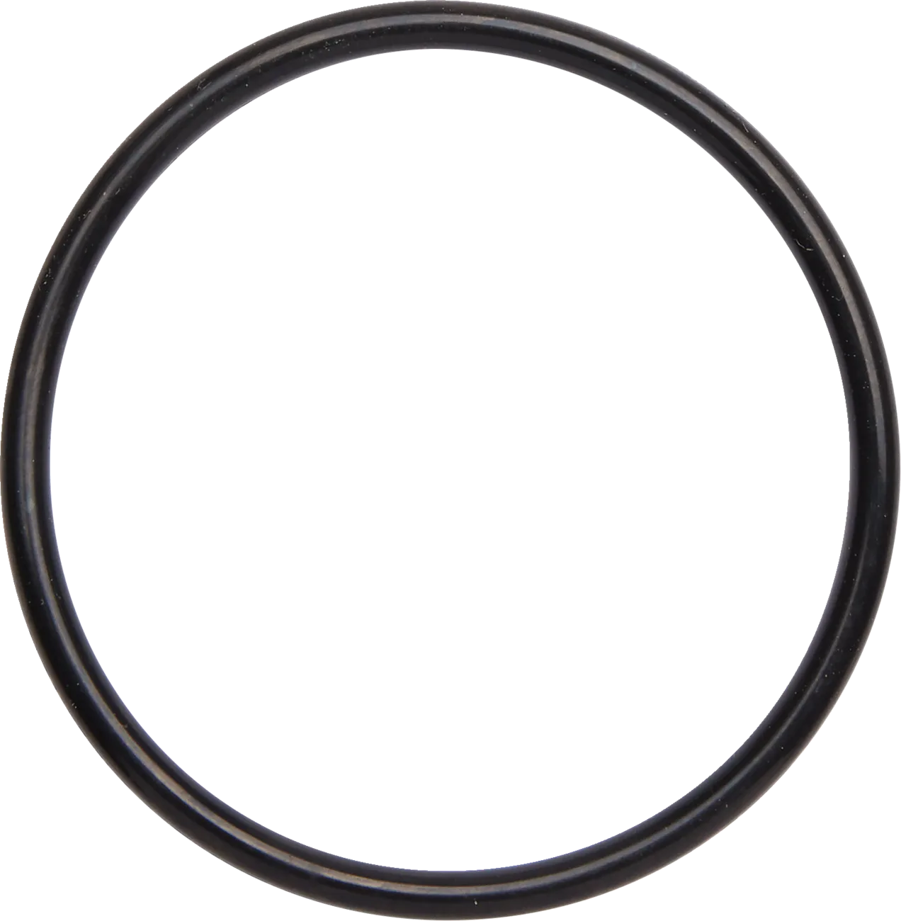 Exhaust O-Rings