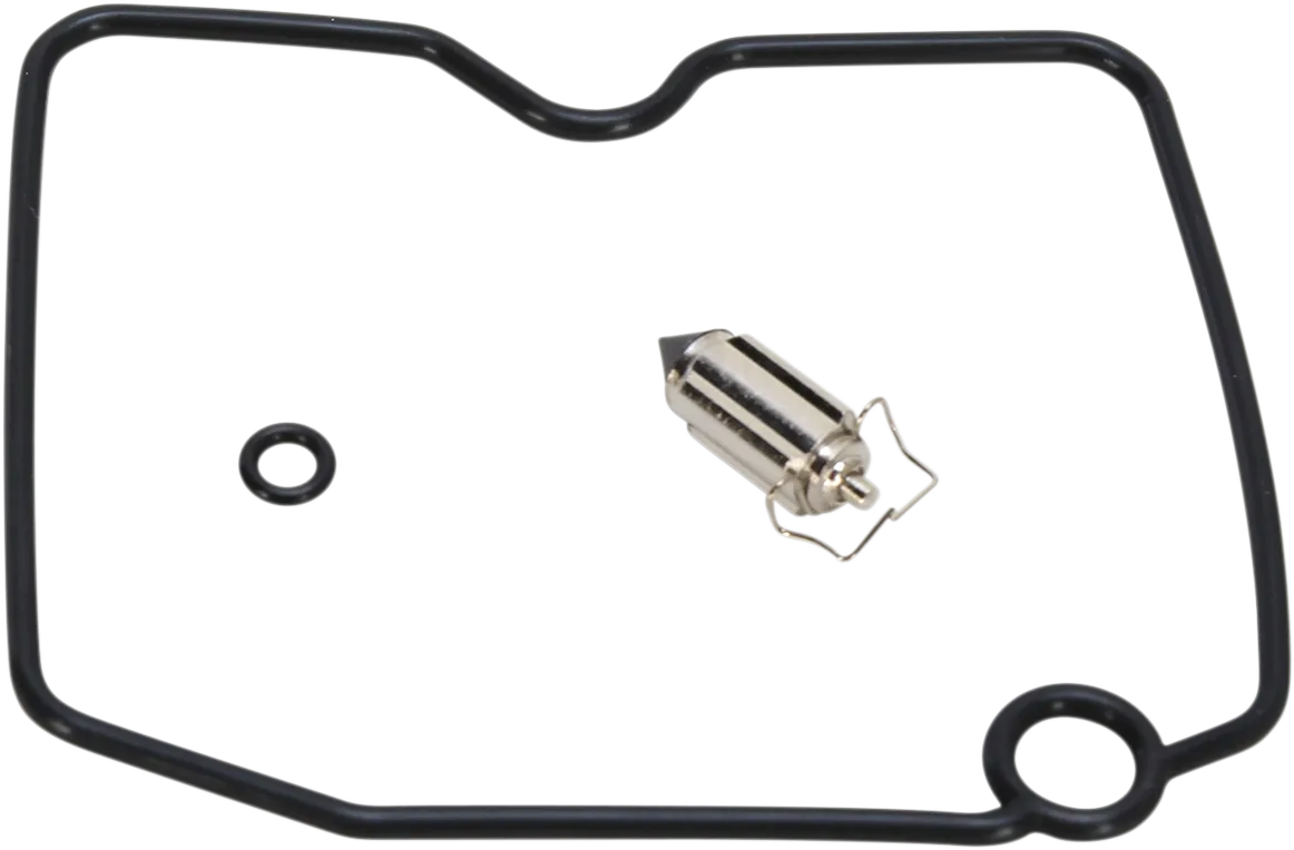 Carburetor Repair Kit