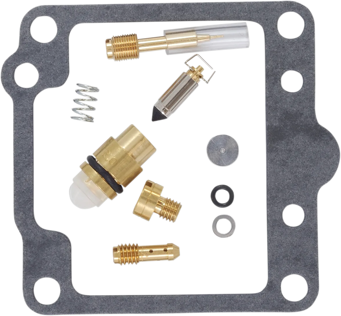 Carburetor Repair Kit