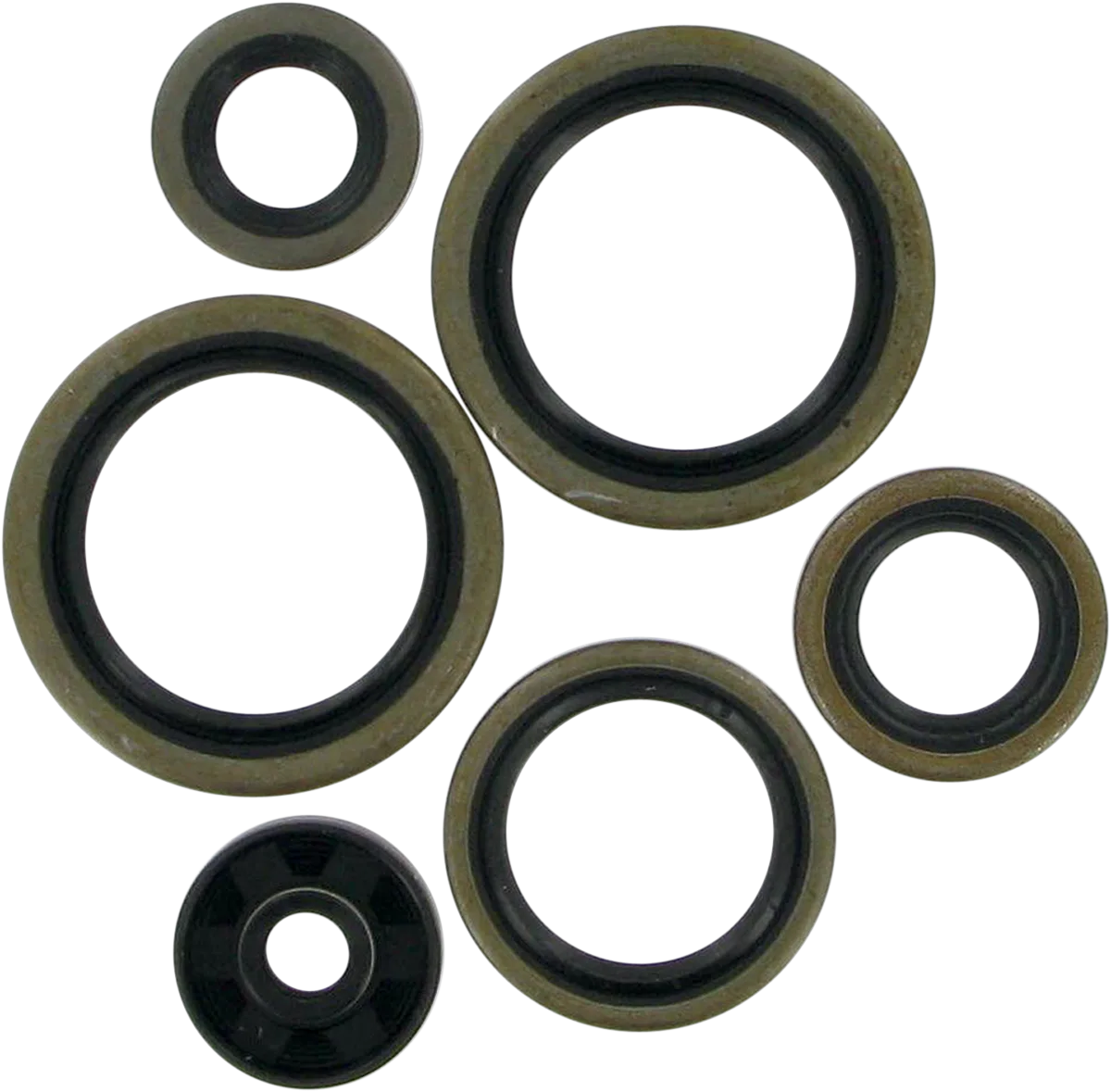 Motor Oil Seals