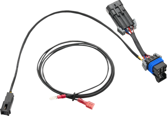 Lighting Harness