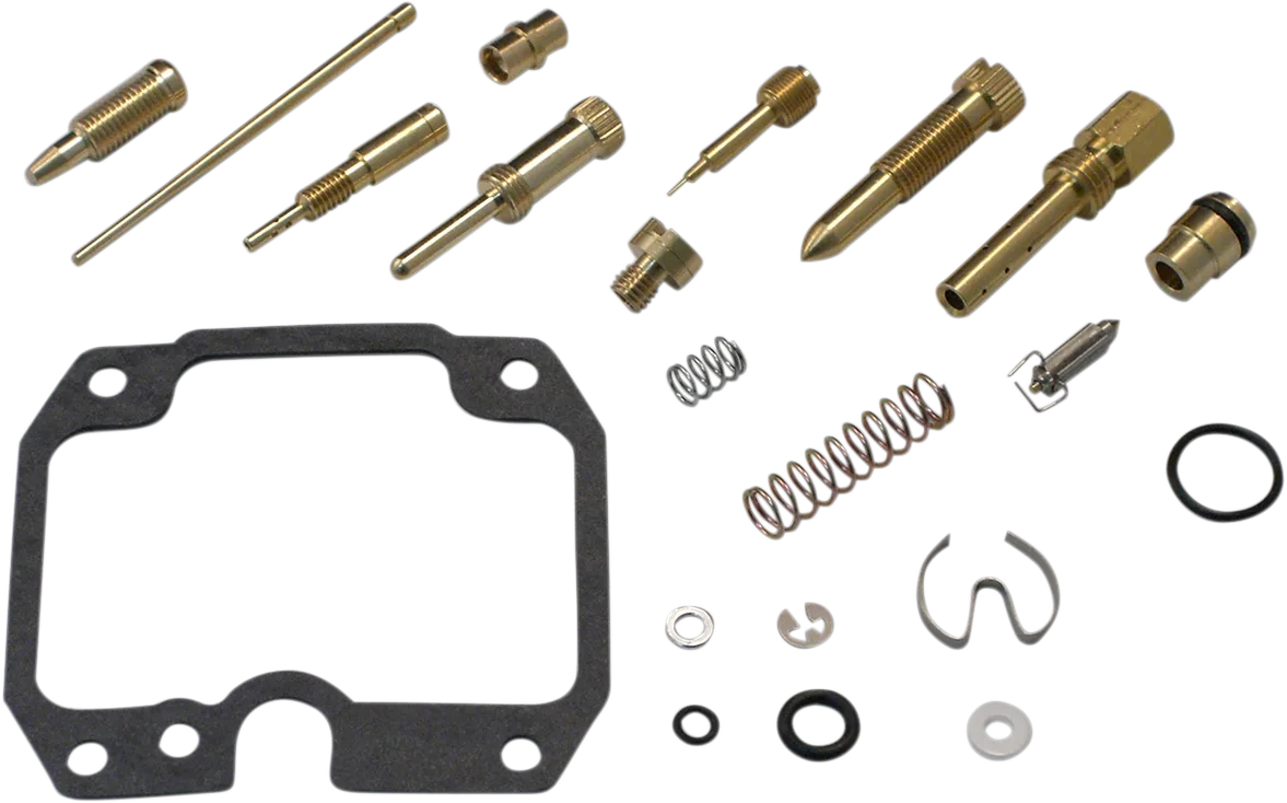Carburetor Repair Kit