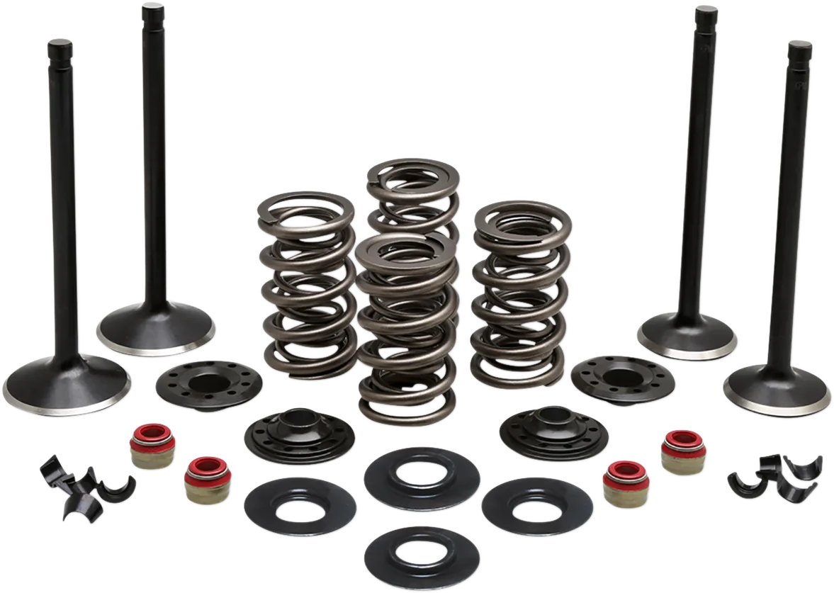 Engine Valve Kit