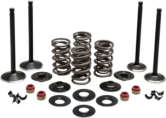 Engine Valve Kit