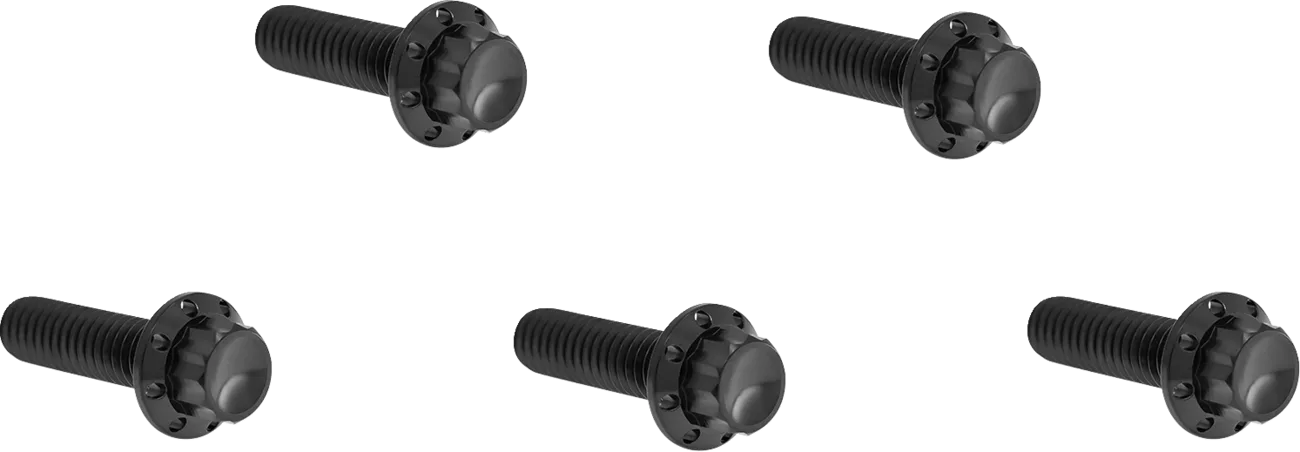 Derby Cover Titanium 12-Point Bolt Kit