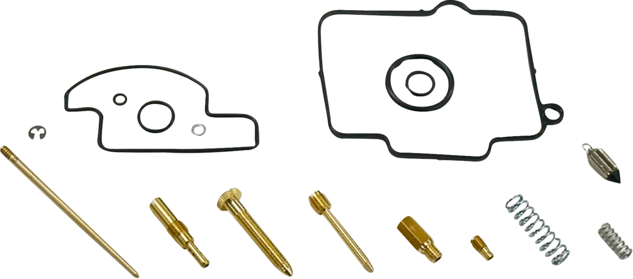 Carburetor Repair Kit