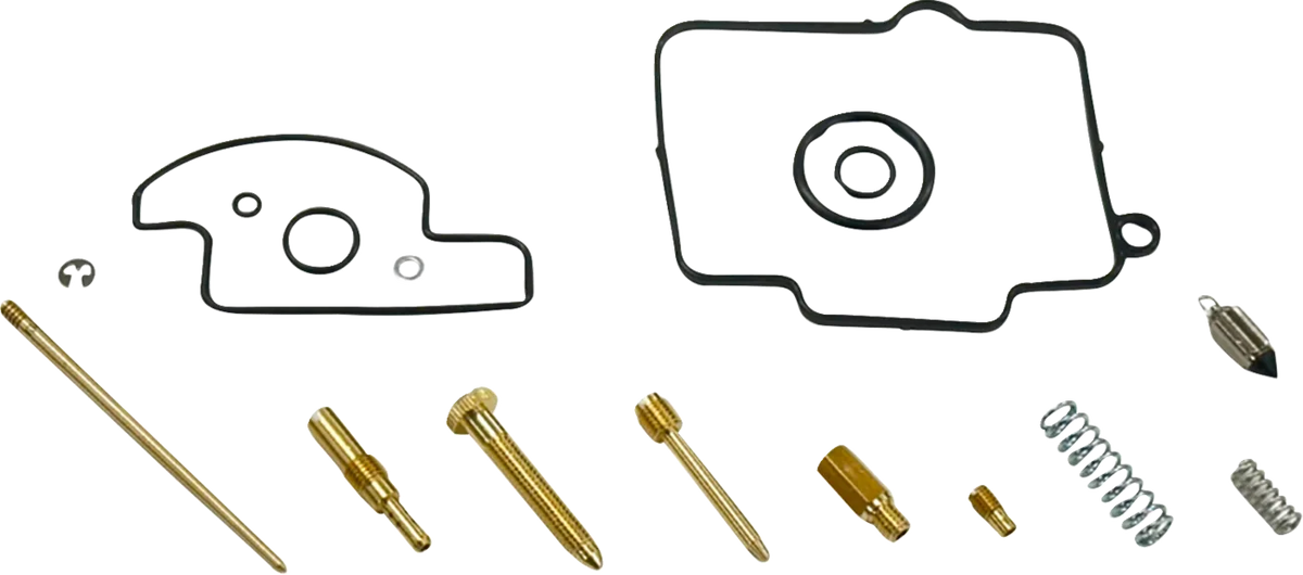 Carburetor Repair Kit
