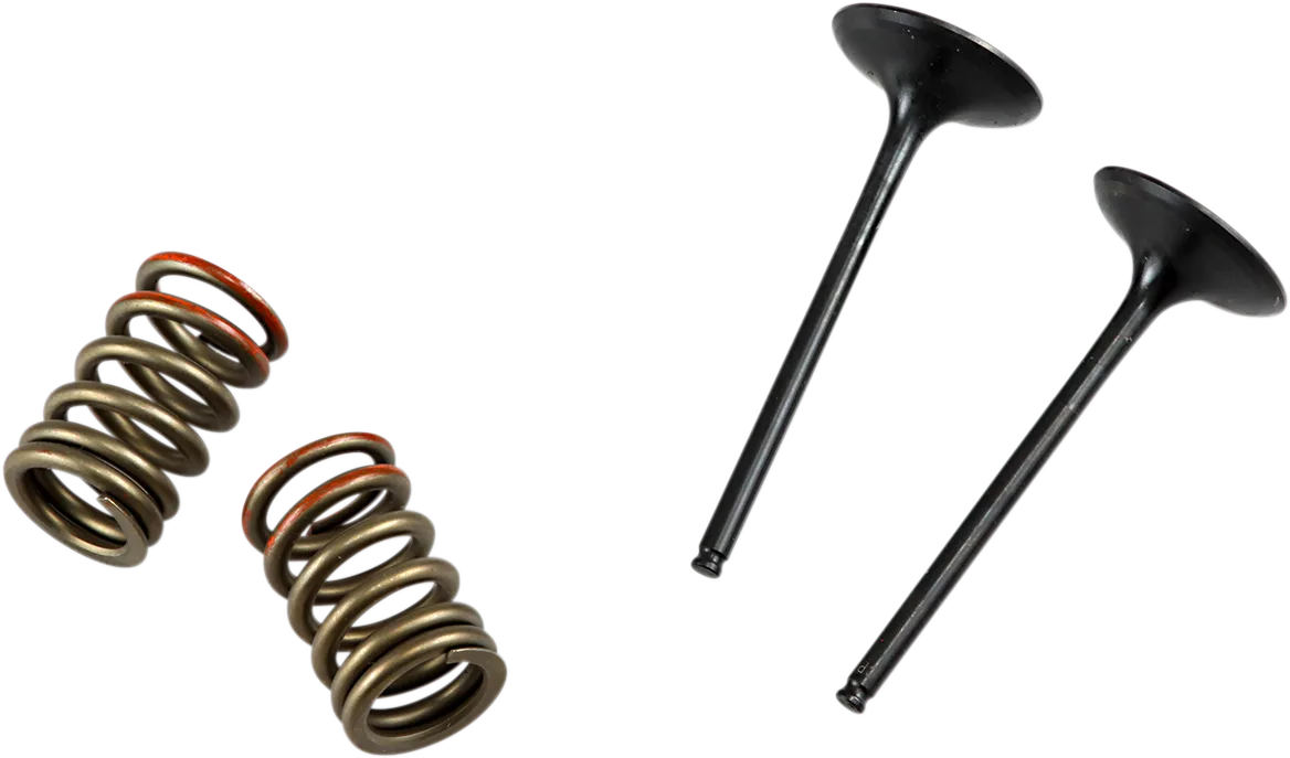 Valve and Spring Kit
