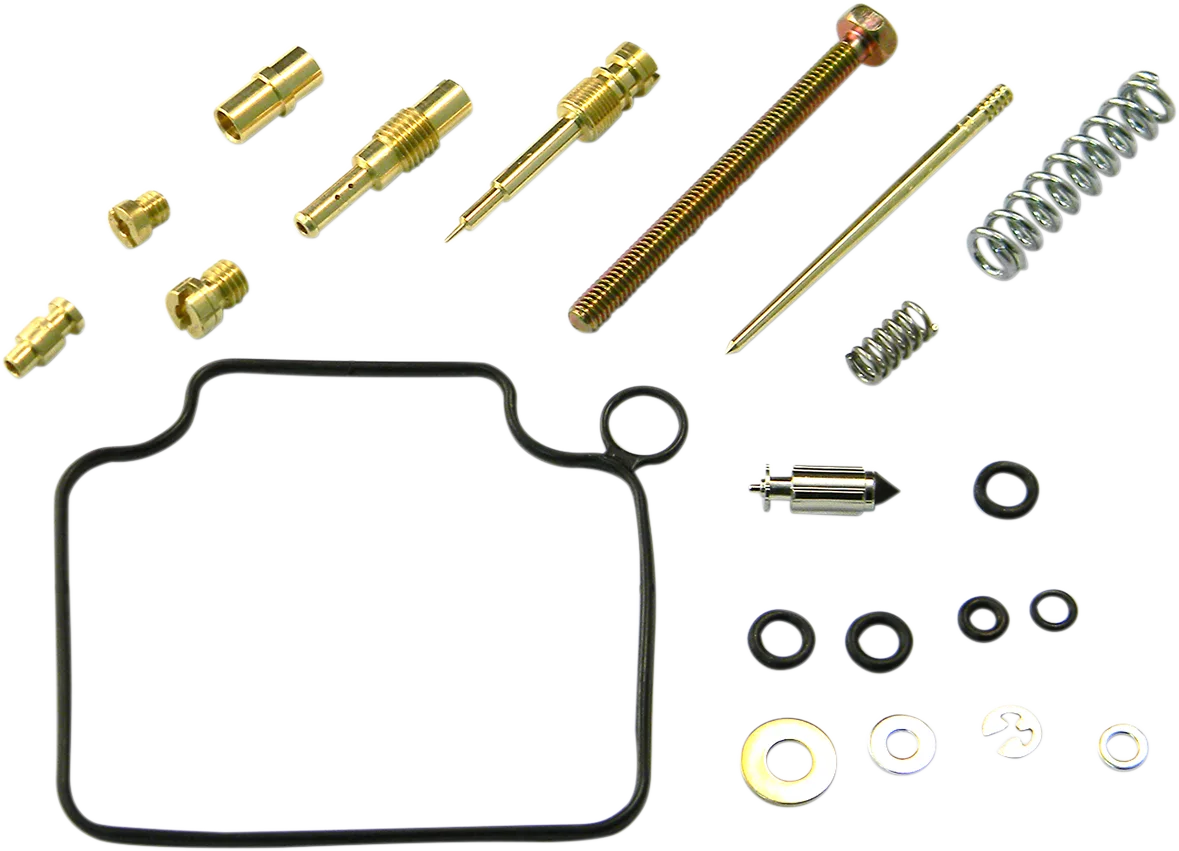 Carburetor Repair Kit