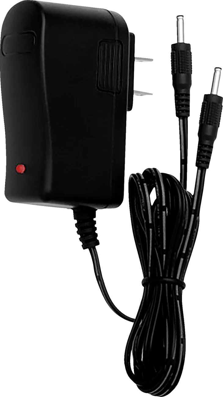 Dual Wall Charger