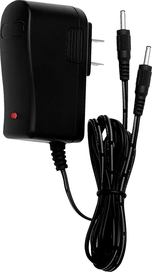 Dual Wall Charger