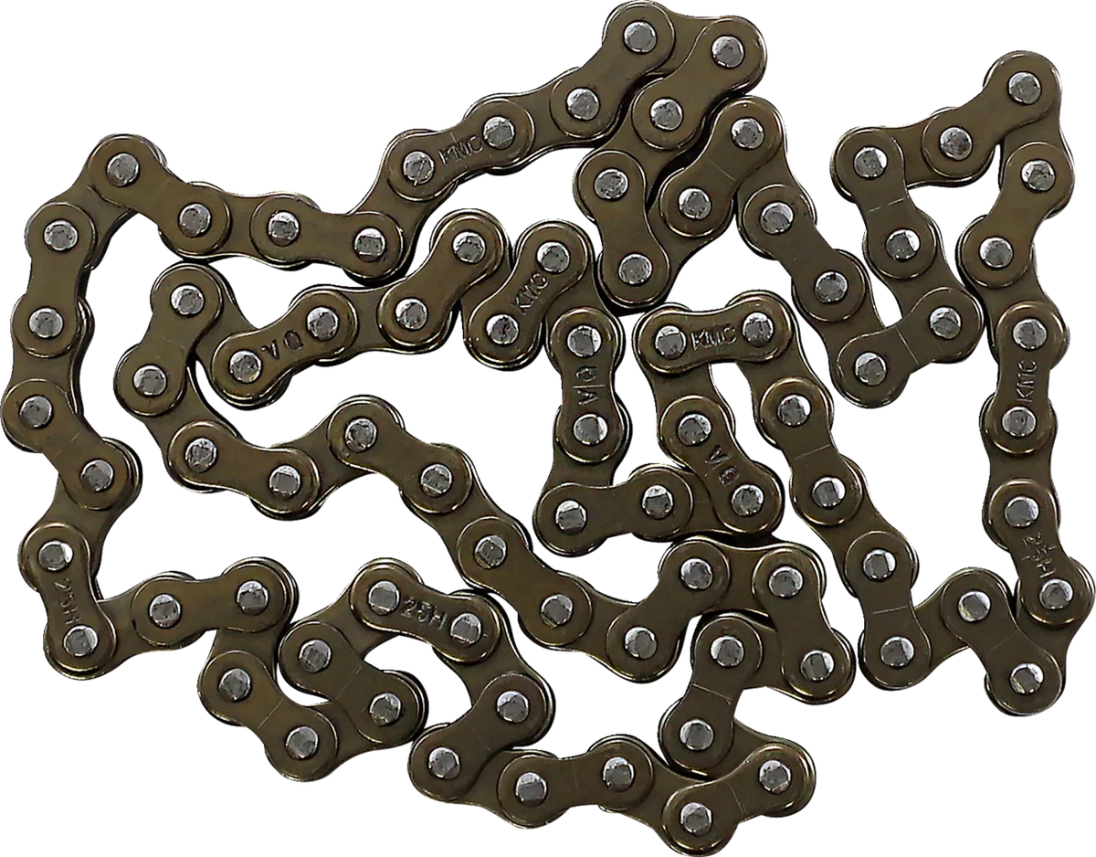 Cam Chain