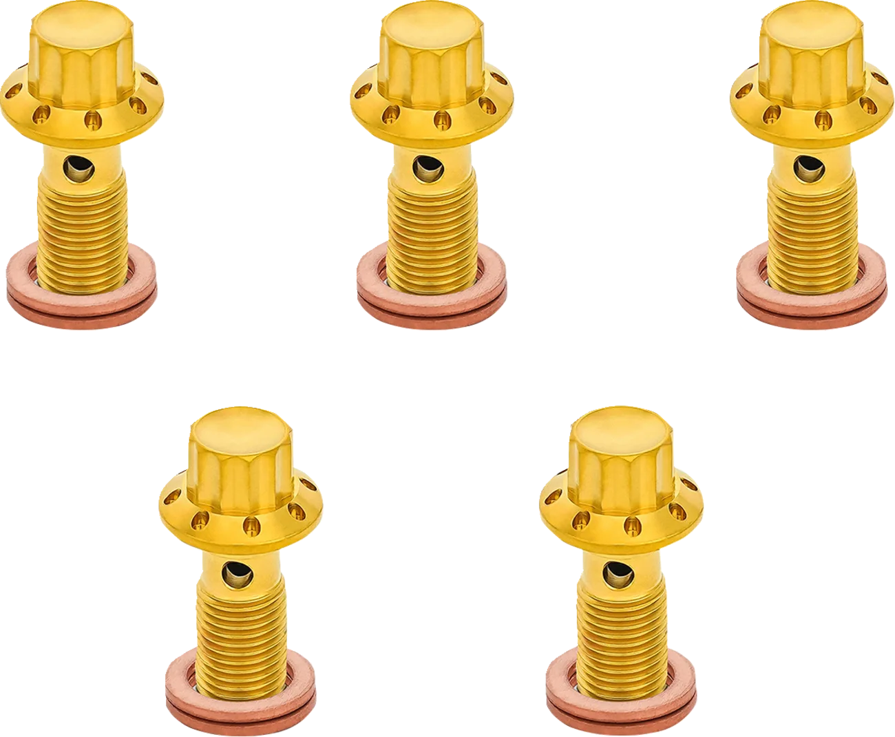 12-Point Titanium Banjo Bolts
