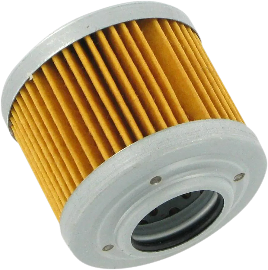 Oil Filter — Cartridge