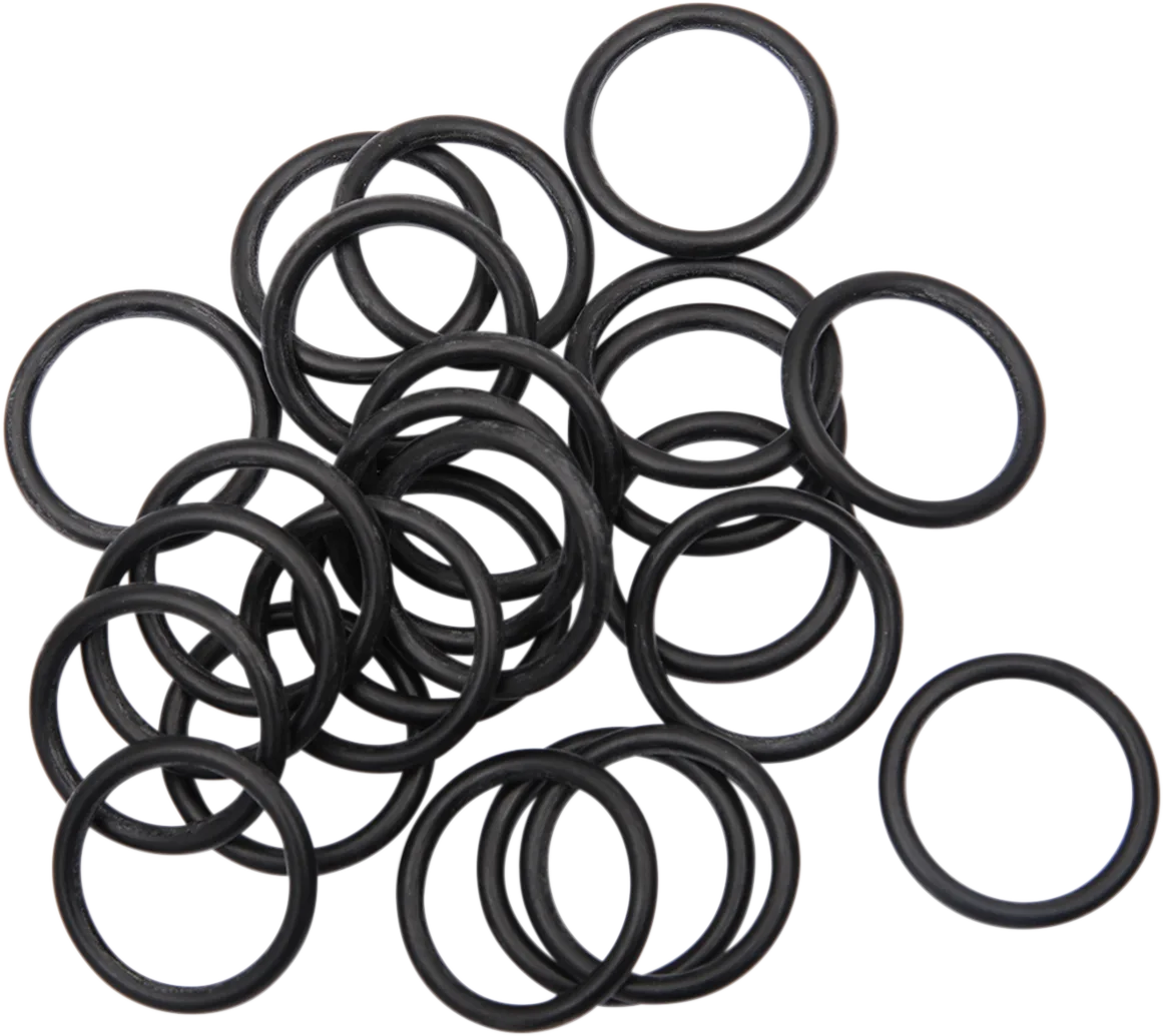 O-Ring