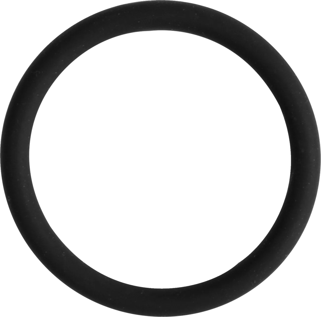 O-Ring/V-Ring