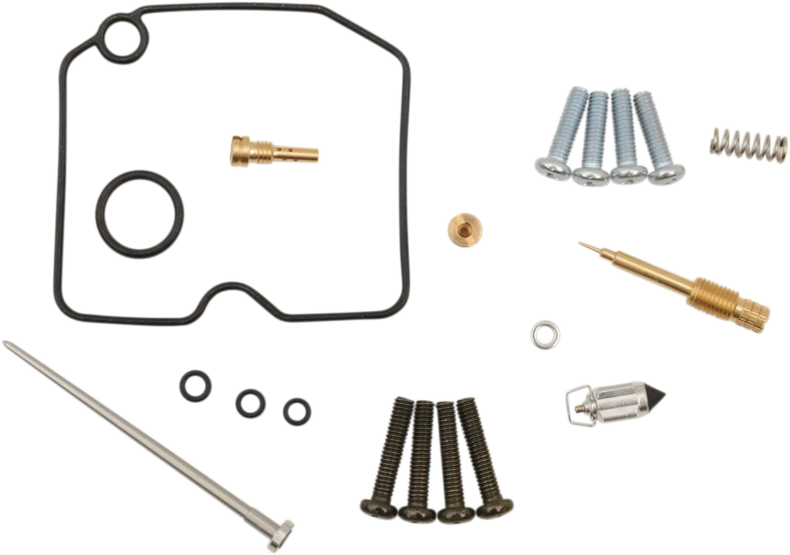 Carburetor Repair Kit