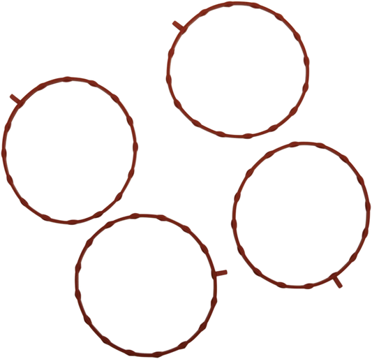 Intake Manifold Seal