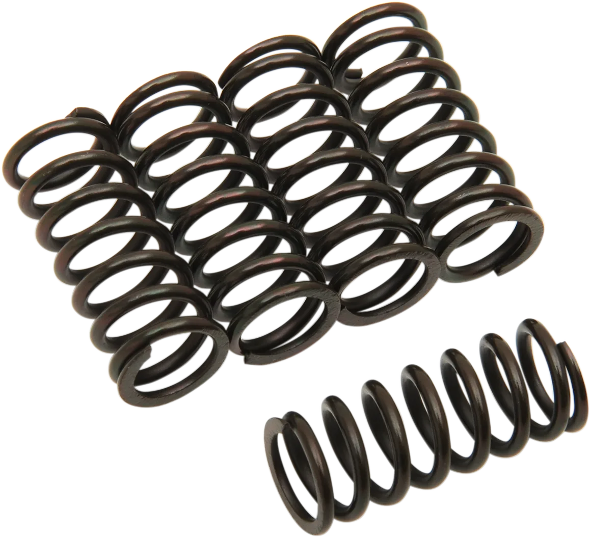 Clutch Spring Kit