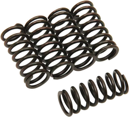 Clutch Spring Kit