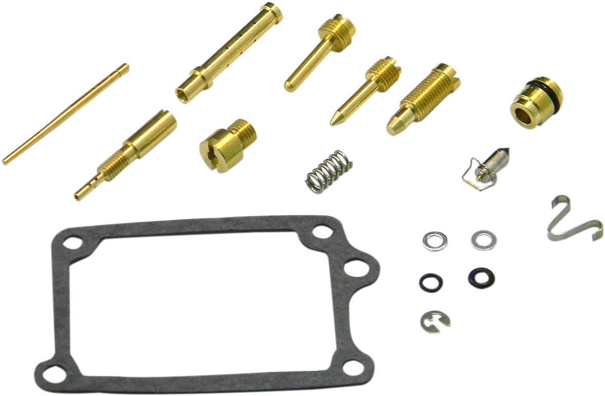 Carburetor Repair Kit