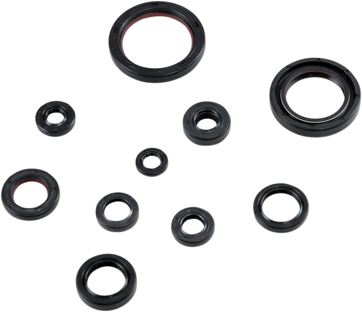 Oil Seal Kit