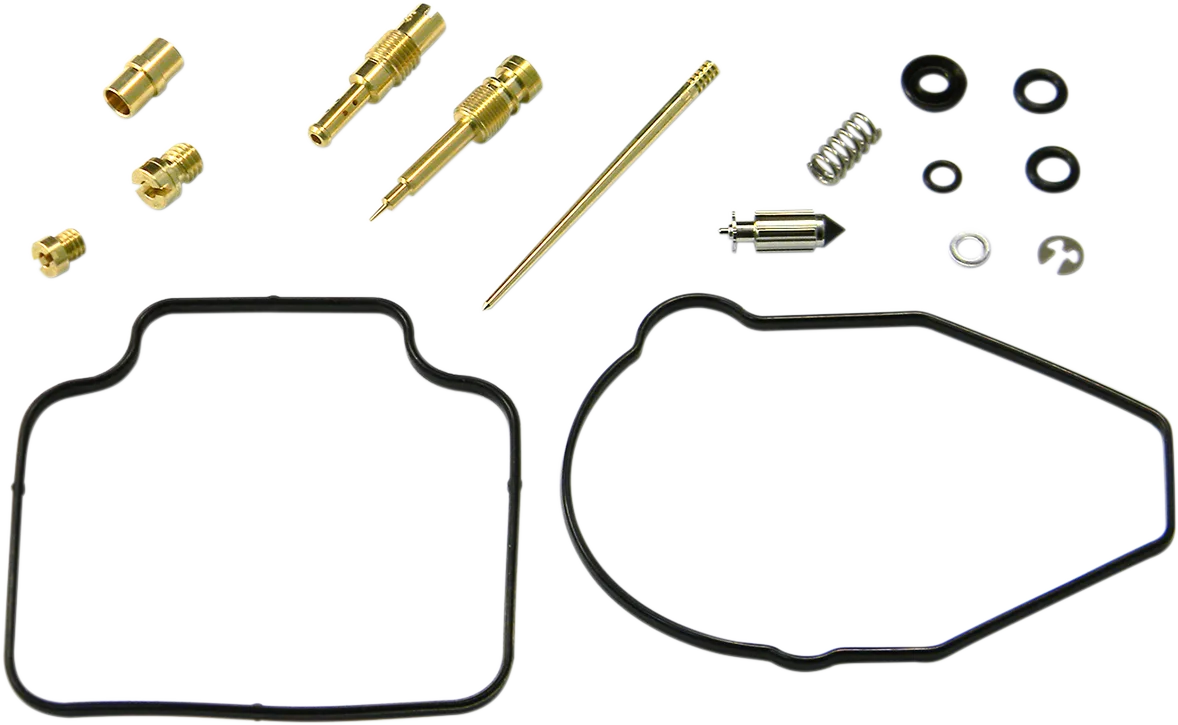 Carburetor Repair Kit