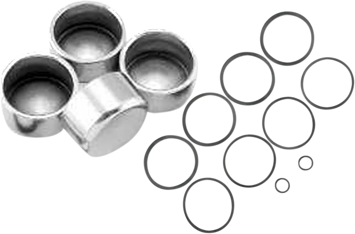 4-Piston Caliper and Piston Seal Kit